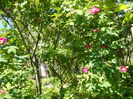P1060325