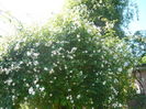 P1060348