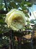 DSC02591