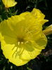 20150606_074638
