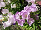 20150607_092009