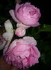 20150612_204001
