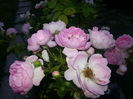 20150612_203857