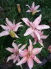 20150612_203743