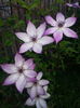 20150612_203612