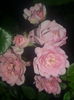 20150615_201125