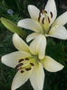 20150620_091905
