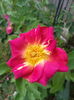 20150620_092104