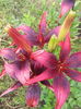 20150620_092659