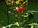 DSCN2039