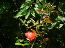 DSCN2060