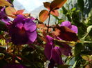 DSCN2068
