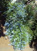 DSC01984