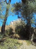 DSC01994