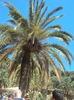 DSC02007