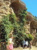DSC02011