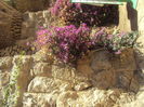 DSC02012