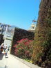 DSC02039