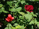 DSCN2127