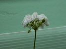 DSCN2204