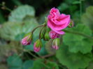 DSCN2230