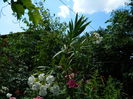 DSCN2235