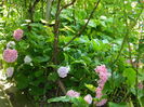 DSCN2241