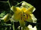 DSCN2243