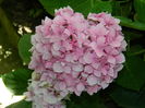 DSCN2246