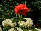 DSCN2258