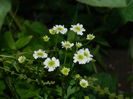 DSCN2263
