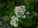 DSCN2264