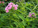 DSCN2265