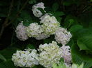 DSCN2272