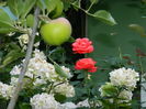 DSCN2276