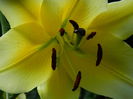 DSCN2313