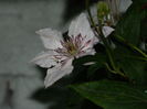 DSCN2318