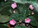 DSCN2322