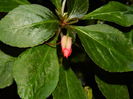 DSCN2364