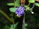 DSCN2426