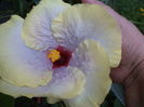 DSC04509