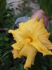 DSC04510
