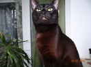 agentul special 007 este la post!
