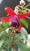 20150629_155038