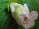 P7120019