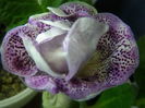 P7110015