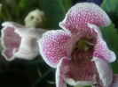 P7130085