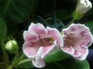 P7140098