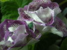 P7140100