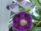 P7170148